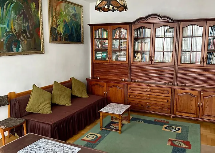 Perfect Remote-workplace In Sunny *